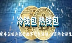 全方位解密中国农业银行数字钱包活动：让您的