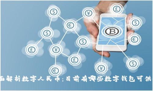 : 全面解析数字人民币：目前有哪些数字钱包可供使用？