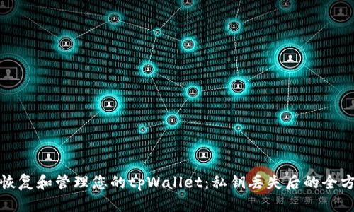 如何安全地恢复和管理您的tpWallet：私钥丢失后的全方位解决方案