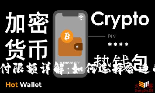 数字钱包支付限额详解：如何选择合适的支付方式？