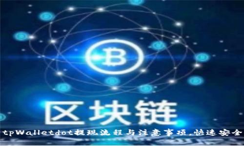 全面解析tpWalletdot提现流程与注意事项，快速安全提现攻略