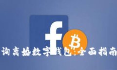 如何有效查询离婚数字钱包：全面指南与实用技