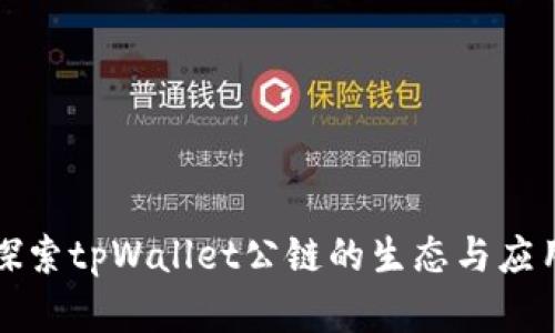 深入探索tpWallet公链的生态与应用场景