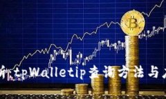 全面解析：tpWalletip查询方法与应用场景