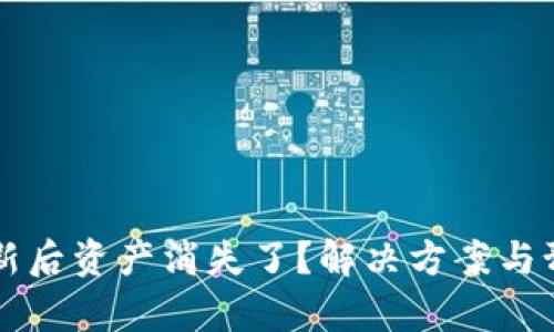 tpWallet更新后资产消失了？解决方案与预防措施详解