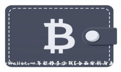 探究tpWallet：一年能挣多少钱？全面分析与未来展