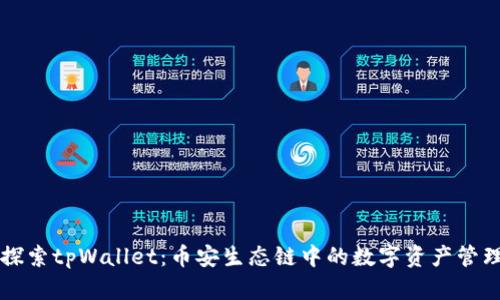 深入探索tpWallet：币安生态链中的数字资产管理利器