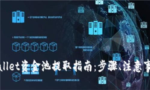 全面解析tpWallet资金池提取指南：步骤、注意事项与常见问题