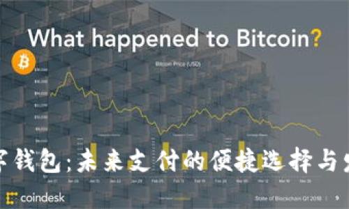 徐州数字钱包：未来支付的便捷选择与发展趋势