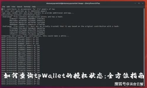如何查询tpWallet的授权状态：全方位指南