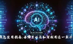 杭州数字钱包使用指南：去哪里以及如何利用这