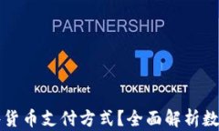 加密钱包支持哪些货币支付方式？全面解析数字