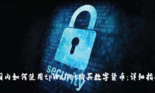 国内如何使用tpWallet购买数字货币：详细指南