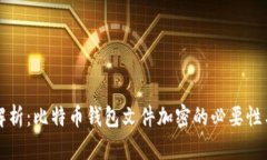 全面解析：比特币钱包文件加密的必要性与方法