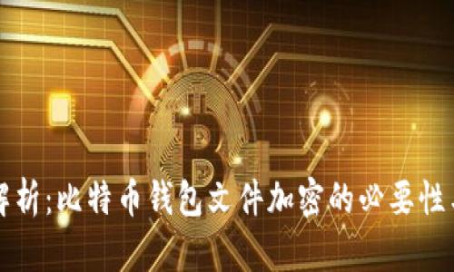 全面解析：比特币钱包文件加密的必要性与方法
