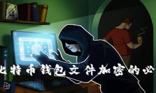 全面解析：比特币钱包文件加密的必要性与方法