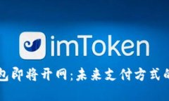 央行数字钱包即将开网：未来支付方式的变革与