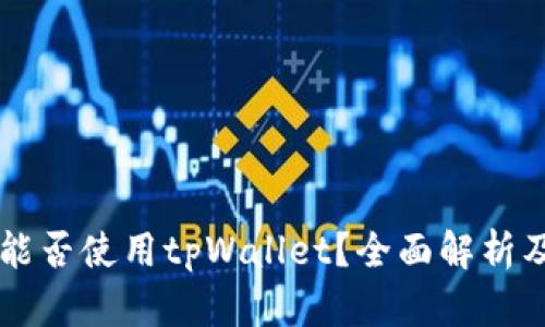苹果系统能否使用tpWallet？全面解析及使用指南