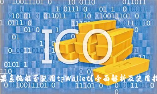 苹果系统能否使用tpWallet？全面解析及使用指南