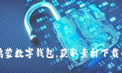 全面解读鸿蒙数字钱包，获取素材下载的最佳指南