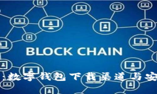 全面解析：数字钱包下载渠道与安全性指南